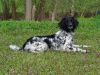 DSC03026.JPG