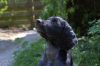 DSC06313.JPG