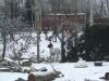 DSCF2111.JPG