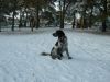 DSCN2607.JPG