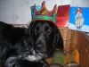 DSCN4402.JPG