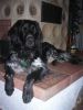 DSCN4846.JPG