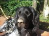 DSCN4914.JPG