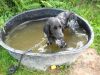DSCN5651.jpg
