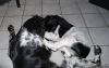 DSC_4948-1.jpg