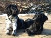 Doris_en_Amber_van__t_Reusledaal_13_feb_2012.JPG