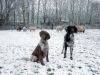 Ginny_en_Raisa_in_de_sneeuw.JPG