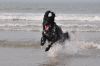 Ginny_van_de_Stommeerpolder_3_maart_2012.jpg