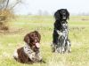 Ginny_van_de_Stommeerpolder_en_Raisa_3_maart.jpg