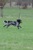 IMG_9064.jpeg