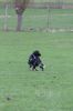 IMG_9070.jpeg