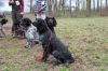 IMG_9130.jpeg