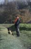 JACHT_LANAKERVELD_2014-11-08_5599_kopie.jpg
