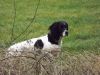 Jessie_van__t_Proostmeer_3_jan_2012.jpeg
