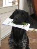 Juli_2010_289.jpg