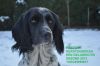 Kerstfoto_2013_Dora_s_plek.jpg