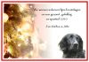 Kerstkaart_2010.jpg