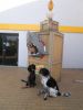 LEGOLAND_JUNI_2010_6270087.JPG