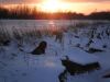 Lesca_Mia_25dec2010_250498.JPG