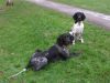 Lesca_Onyx_in_Park_29dec09_290530.jpg