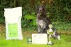 Lizzy_van_de_Stommeerpolder_(BOB_clubmatch_Belgie).JPG