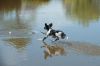 Lotte_van_het_Proostmeer_lopend_over_het_water.jpeg