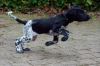 Lotte_vd_Prootsmeer_1_29_jan_2012.jpg