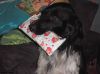 Onyx_5dec2011_BB_A.JPG