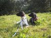 Onyx_Lesca_bij_Grenz_Motel_juni_2010_6290244.jpg