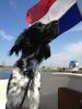 Sem_van_het_Reuseldal.jpg