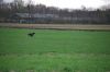 aanlegproef_31-03-12_018.jpg