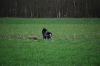 aanlegproef_31-03-12_038.jpg
