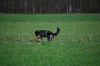 aanlegproef_31-03-12_040.jpg