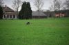 aanlegproef_31-03-12_043.jpg