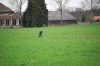 aanlegproef_31-03-12_044.jpg