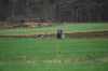 aanlegproef_31-03-12_046.jpg