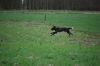 aanlegproef_31-03-12_062.jpg