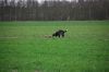 aanlegproef_31-03-12_074.jpg