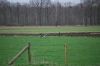 aanlegproef_31-03-12_080.jpg