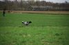 aanlegproef_31-03-12_084.jpg