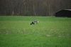 aanlegproef_31-03-12_085.jpg
