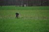 aanlegproef_31-03-12_086.jpg