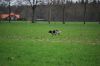 aanlegproef_31-03-12_089.jpg