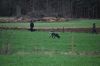 aanlegproef_31-03-12_096.jpg