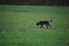 aanlegproef_31-03-12_106.jpg