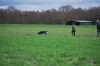 aanlegproef_31-03-12_108.jpg