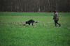 aanlegproef_31-03-12_110.jpg