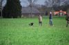 aanlegproef_31-03-12_146.jpg