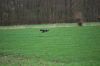 aanlegproef_31-03-12_157.jpg