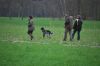 aanlegproef_31-03-12_177.jpg